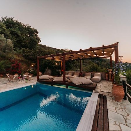 Elysian Luxury Villa Pelion Tsagkarada Eksteriør billede